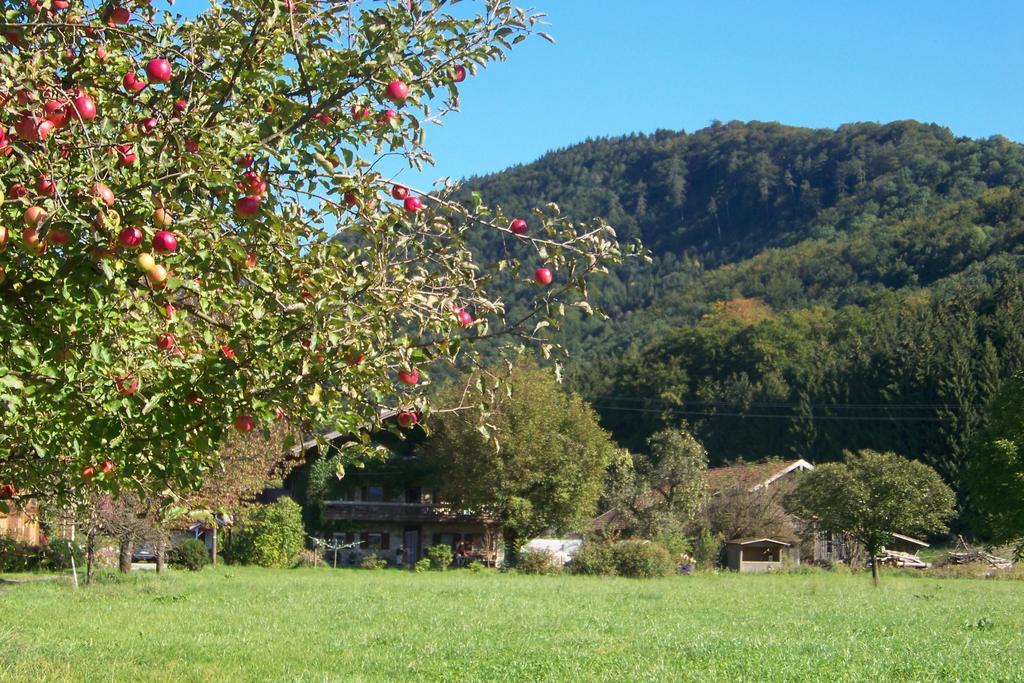 Hotel Niederauer Hof Neubeuern Esterno foto