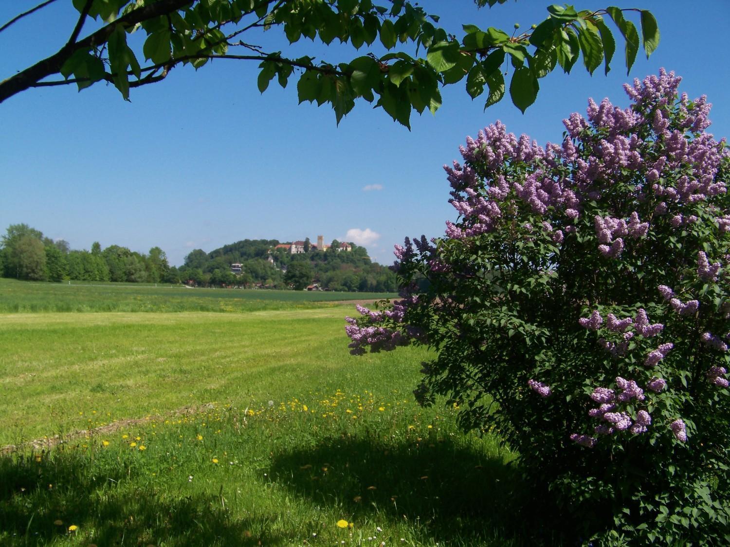 Hotel Niederauer Hof Neubeuern Esterno foto